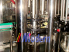 Automatic Rotary Type Edible Oil Filling Machine